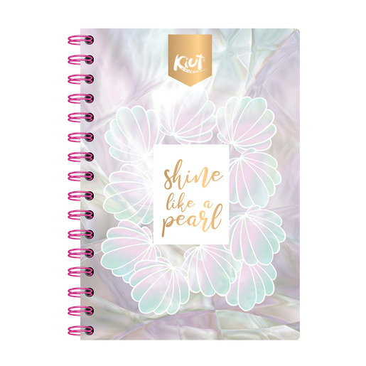 CUADERNO F.F. NORMA KIUT 100 H. C 5 MM.