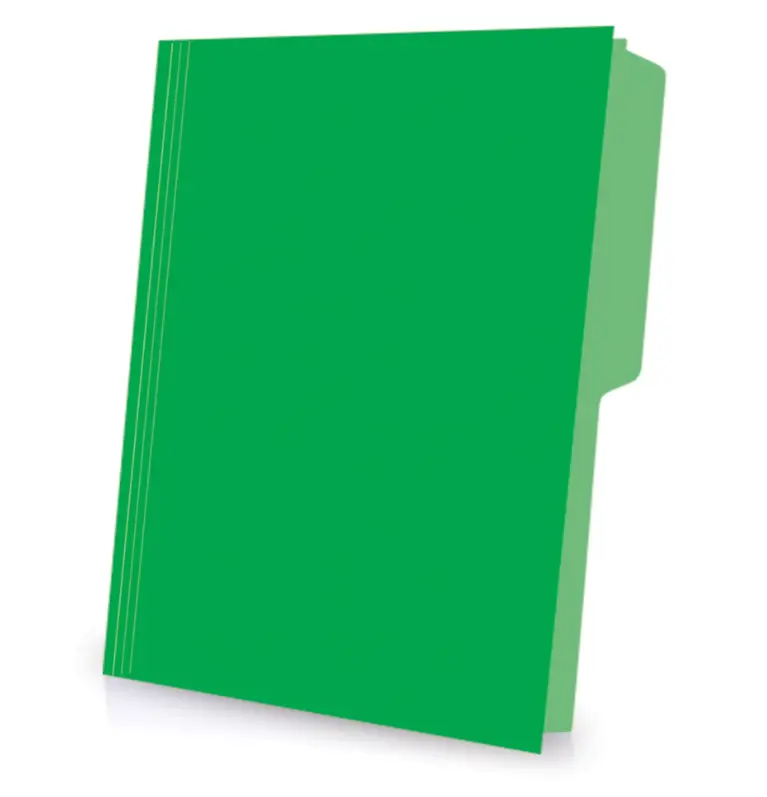 FOLDER OFICIO COLORES VIVOS SUELTO