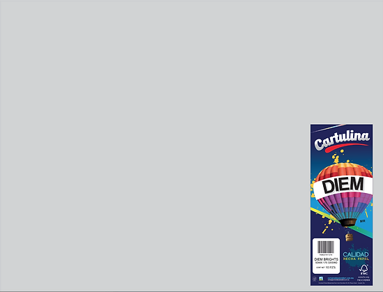 CARTULINA DIEM 50X66 PTE C/10 11-GRIS CLARO