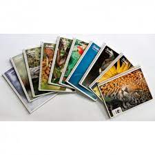 CUADERNO SCRIBE 7512 PROF MEGA PLUS 100H CUADRO 5
