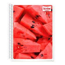 CUADERNO SCRIBE PROF MEGA PLUS C/P 100 H  DOBLE RAYA