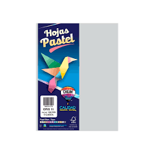 [10-657190] PAPEL DIEM CARTA PASTEL PTE C/100 11 GRIS