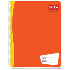[10-376312] CUADERNO SCRIBE PROFESIONAL ESCOLAR PLUS 100 H CUADRO 5