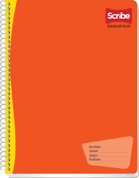 [10-376315] CUADERNO SCRIBE PROFESIONAL ESCOLAR PLUS 100 H. CUADRO 14 MM.
