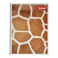 [10-376318] CUADERNO SCRIBE 7510 PROF MEGA PLUS 100H. RAYA
