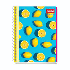[10-376320] CUADERNO SCRIBE 7511 PROF. MEGA PLUS C/P 100 H. BLANCO