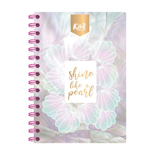 [10-230042] CUADERNO F.F. NORMA KIUT 100 H. C 5 MM.