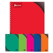 [10-230101] CUADERNO PROF. NORMA UNO 100 H. CUADRO 5 MM.