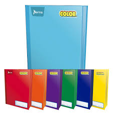 [10-230148] CUADERNO COSIDO NORMA PROFESIONAL 100 H 7 MM