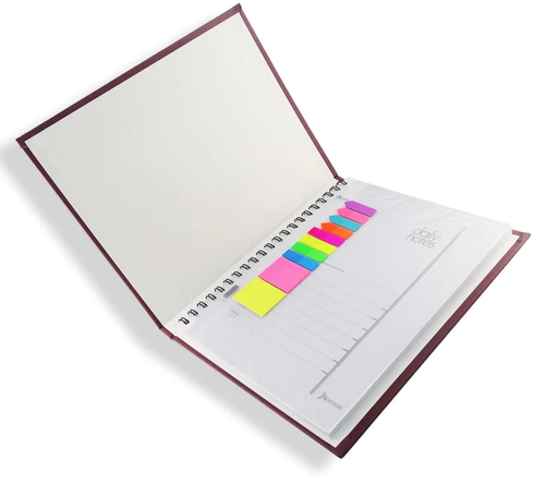 [13-580641] CUADERNO NORMA EJECUTIVO F/FRANCESA DAILY RAYA 100H