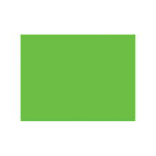 [10-657224] CARTULINA DIEM BRIGHTS 50X66 PTE. C/10 12 VERDE LIMON