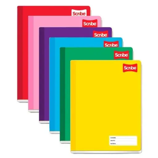 [13-4501C7] CUADERNO COSIDO SCRIBE CLASICO PROFESIONAL C7MM CUADRO GRANDE