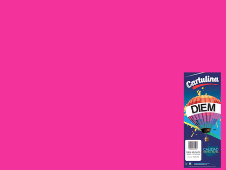 [10-657204] CARTULINA DIEM BRIGHTS 50X66 PTE. C/10 02 FIUSHIA 