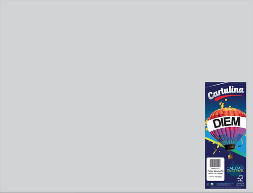 [10-657269] CARTULINA DIEM 50X66 PTE C/10 11-GRIS CLARO
