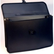[10-167002] PORTAFOLIO CELICA C/2 DIVISIONES CO-410L