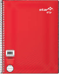 [10-396024] CUADERNO PROFESIONAL ESTRELLA 100 H. RAYA