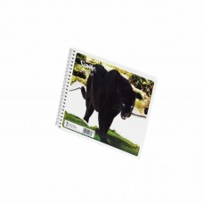[10-376032] CUADERNO SCRIBE ITALIANO 100 H RAYA